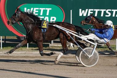 Grußlos zog Justus Love an Salvedonatella vorbei (Foto: Marius Schwarz) Grußlos zog Justus Love an Salvedonatella vorbei (Foto: Marius Schwarz)