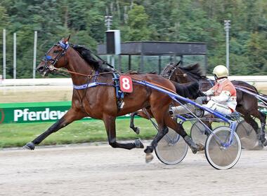 Emilion erstmals in Mönchengladbach (traberfoto-sx.de) Emilion erstmals in Mönchengladbach (traberfoto-sx.de)