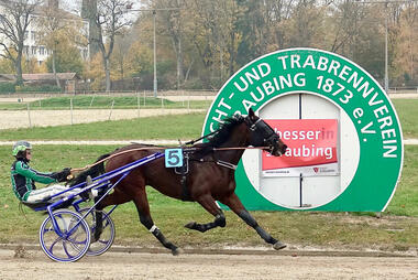 Troublemaker gewann letzten Renntag das V7-Auftaktrennen (Foto: W. Schaffrath) Troublemaker gewann letzten Renntag das V7-Auftaktrennen (Foto: W. Schaffrath)