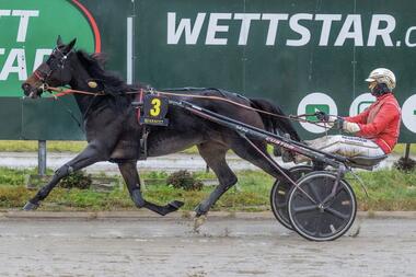 Kornelius Kluth punktete mit Grace (Foto: traberpixx.de) und Joyeux Well