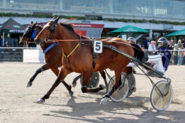 Global Commission hält Waldgeist in Schach (Foto: Uwe Stelling)