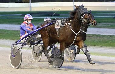 Frans van der Blonk mit Durk M Boko bei einem Erfolg in Dinslaken – Archivfoto © traberfoto-sx