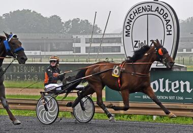 Panoramic mit Britt Grift (Foto: M. Klumbies)