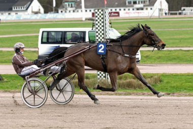 Favorit im Vorlauf des Ostsee-Cups: Toledo (Foto: Uwe Stelling) Favorit im Vorlauf des Ostsee-Cups: Toledo (Foto: Uwe Stelling)