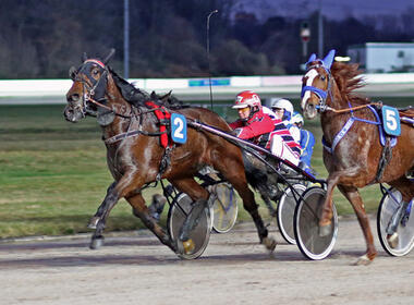 Velten Las Vegas mit Niels Jongejans bei einem seiner zwei GE-Siege im Januar 2020 (Foto: Sabine Sexauer) Velten Las Vegas mit Niels Jongejans bei einem seiner zwei GE-Siege im Januar 2020 (Foto: Sabine Sexauer)