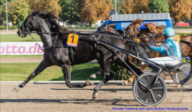 Fingerspitzengefühl gefragt
