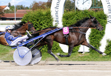 Josef Franzl punktete mit Princess (Foto: Franz Hahn) und Take Five Josef Franzl punktete mit Princess (Foto: Franz Hahn) und Take Five