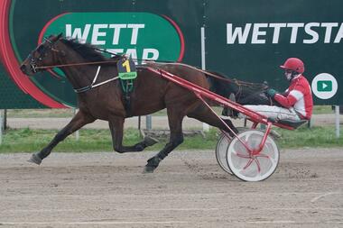 Mephisto PS greift nach dem vierten Saisonerfolg (Foto: Marius Schwarz) Mephisto PS greift nach dem vierten Saisonerfolg (Foto: Marius Schwarz)