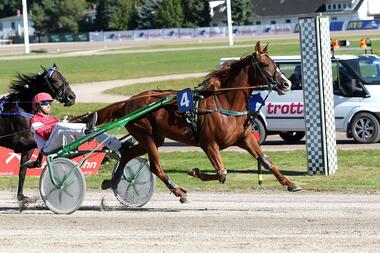 Peter Sieburgs Know by Now bei seinem Hamburger Sieg am 25. September (Foto: Uwe Stelling)