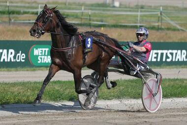 Dennis Spangenberg ist in allen fünf PMU-Rennen vertreten (Foto: traberpixx.de)