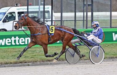 Steht vor keiner leichten Aufgabe: Mr Blitzer Byd (Jan Thijs de Jong) - © traberfoto-sx Steht vor keiner leichten Aufgabe: Mr Blitzer Byd (Jan Thijs de Jong) - © traberfoto-sx