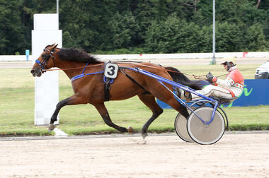 Laurel Park war die Nr. 4 im Nimczyk-Quintett © traberfoto-sx.de