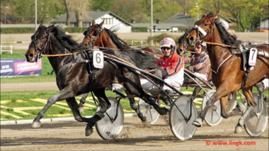 Am Sonntag zu Gast in Berlin: Tim Schwarma Am Sonntag zu Gast in Berlin: Tim Schwarma