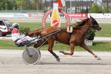 Eye Catcher C mit Stefan Schoonhoven (Foto: Sabine Sexauer) Eye Catcher C mit Stefan Schoonhoven (Foto: Sabine Sexauer)