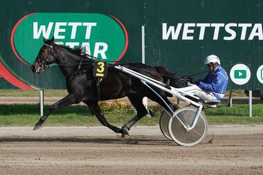 Willow Bay Evert bei seinem Sieg am 16. Oktober (Foto: Marius Schwarz) Willow Bay Evert bei seinem Sieg am 16. Oktober (Foto: Marius Schwarz)