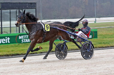 Erneut siegreich: Gian Luca Pasel mit Marciano Hauber (traberfoto-sx.de)