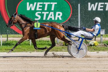 Die neunfache Vorjahressiegerin Komino Blue Lagoon meldet sich zurück (Foto: traberpixx.de)