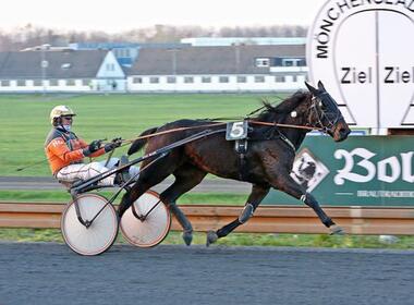 Steuert Hennie Grift seinen 3.500. Sieger? (traberfoto-sx.de) Steuert Hennie Grift seinen 3.500. Sieger? (traberfoto-sx.de)