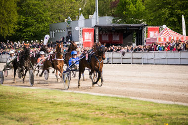 So wird es dieses Jahr am 1. Mai bei Gelsentrab leider nicht aussehen (Foto: Facebook GE) So wird es dieses Jahr am 1. Mai bei Gelsentrab leider nicht aussehen (Foto: Facebook GE)