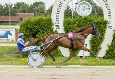 Postillion bei seinem frischen 1:14,0-Erfolg (Foto: Franz Hahn) Postillion bei seinem frischen 1:14,0-Erfolg (Foto: Franz Hahn)