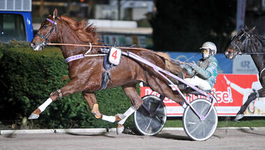 Jack is Back einer der Favoriten zum Auftakt der Gold-Serie (Foto: Marius Schwarz)