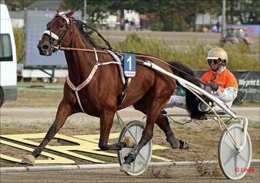 Goldy Stardust im PMU-Rahmenprogramm klar favorisiert (Foto: Heiko Lingk) Goldy Stardust im PMU-Rahmenprogramm klar favorisiert (Foto: Heiko Lingk)