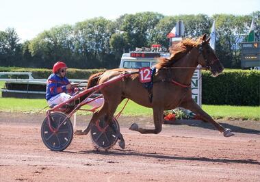 Ecureuil Jenilou beim Sieg in Avenches (Foto: letrot.com) Ecureuil Jenilou beim Sieg in Avenches (Foto: letrot.com)