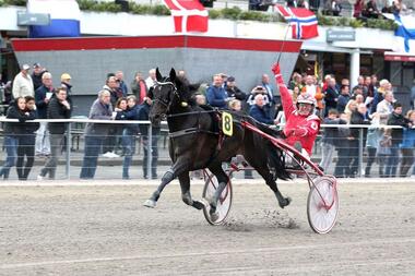 Grand-Prix-Vorjahressieger Toto Barosso diesmal im Preis von Hamburg (Foto: Uwe Stelling) Grand-Prix-Vorjahressieger Toto Barosso diesmal im Preis von Hamburg (Foto: Uwe Stelling)