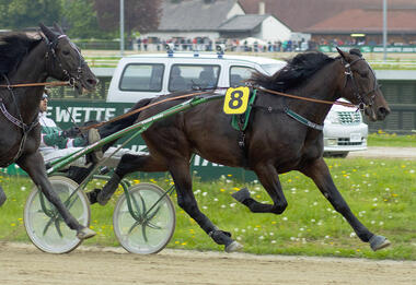 Hockstedt nach dem Münchner Pokal auch im Grand Prix? (fotofinish.de) Hockstedt nach dem Münchner Pokal auch im Grand Prix? (fotofinish.de)