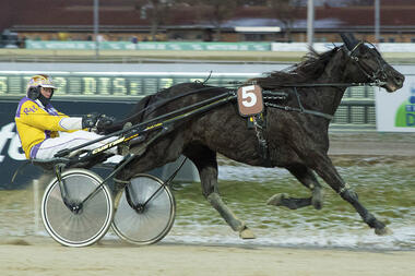 Tyrolean Dream trotz Doppelzulage das Maß der Dinge (fotofinish.de) Tyrolean Dream trotz Doppelzulage das Maß der Dinge (fotofinish.de)