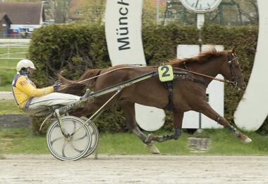 Sea You ging beim Einstand spazieren (Foto: fotofinish.de) Sea You ging beim Einstand spazieren (Foto: fotofinish.de)