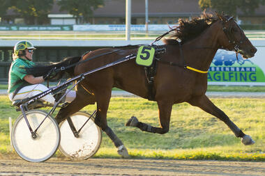 Dr. Marie Lindinger gewann mit Flash Gordon und Giacomo Pastor (Foto) - fotofinish.de