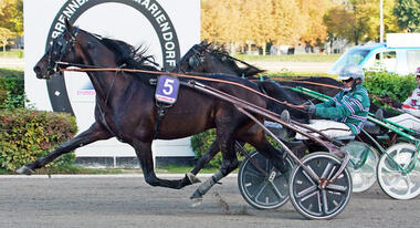 1:10,6! Halva von Haithabu mit Thorsten Tietz (Foto: Marius Schwarz)