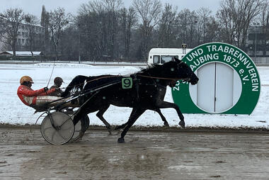 Happy Jack ring Marilyn Boko nieder