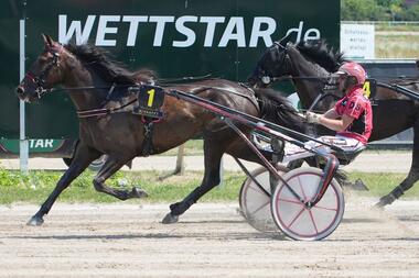 Mit Que Sera Sera eröffnete Dennis Spangenberg sein Triple (Foto: Marius Schwarz) Mit Que Sera Sera eröffnete Dennis Spangenberg sein Triple (Foto: Marius Schwarz)