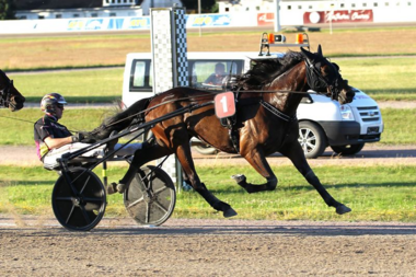 Vielversprechend: Noble Lobell mit Robin Bakker (Foto: Uwe Stelling)