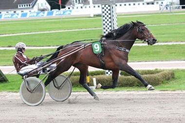 Piemonte mit Josef Franzl (Foto: Uwe Stelling)