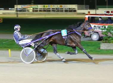Der neue Bronzehelm Robbin Bot mit Highway Fortuna (Foto: traberfoto-sx.de) Der neue Bronzehelm Robbin Bot mit Highway Fortuna (Foto: traberfoto-sx.de)