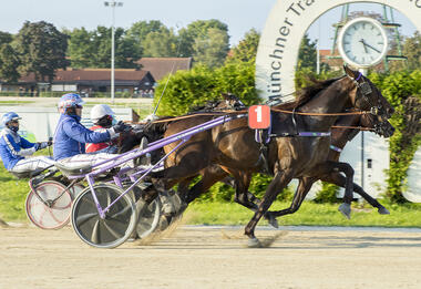 Herzschlagfinale im Amateurvergleich: Gino kommt gegen River Flow einen Schritt zu spät (Foto: Franz Hahn) Herzschlagfinale im Amateurvergleich: Gino kommt gegen River Flow einen Schritt zu spät (Foto: Franz Hahn)