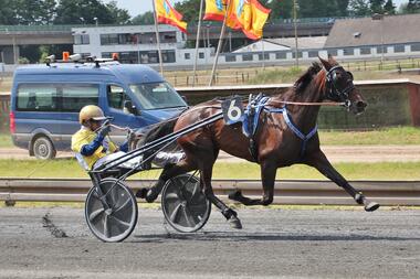 Stall Express' Croisette blieb auch beim dritten Jahresstart ungeschlagen (Foto: Dennis Kraum)