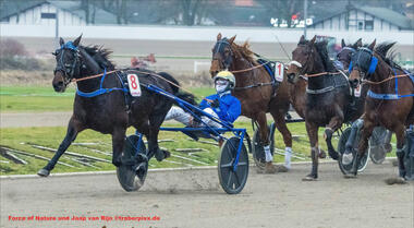 Jaap van Rijn - Mister 100 Prozent