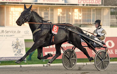 Prosperous und Jaap van Rijn (Foto: Marius Schwarz) Prosperous und Jaap van Rijn (Foto: Marius Schwarz)