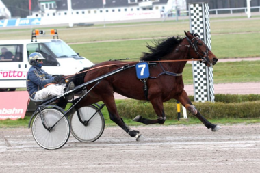 Erster Hamburger Sieger im neuen Jahr: Georgies King mit Jochen Holzschuh (Foto: Uwe Stelling) Erster Hamburger Sieger im neuen Jahr: Georgies King mit Jochen Holzschuh (Foto: Uwe Stelling)