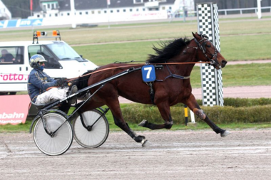 Erster Hamburger Sieger im neuen Jahr: Georgies King mit Jochen Holzschuh (Foto: Uwe Stelling)