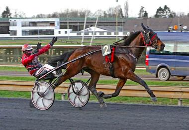 Sieg No. 2 für Niels Jongejans: Velten Revenge (traberfoto-sx.de) Sieg No. 2 für Niels Jongejans: Velten Revenge (traberfoto-sx.de)
