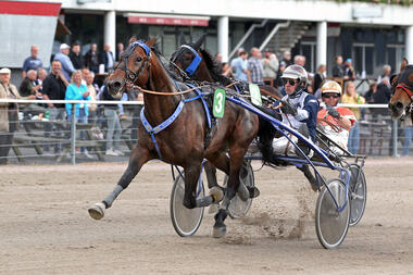 Aladin holte sich den Kriteriums-Qualifier am 19. Mai (Foto: Uwe Stelling)