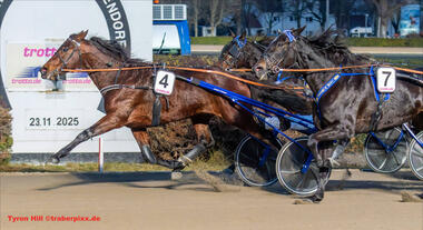 Tyron Hill hält Sangria Pellini und Purple Rain knapp auf Distanz (Foto: traberpixx.de)