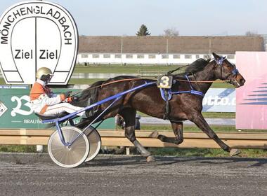 Kaiserhof Newport bei seinem Sieg am 31. Januar (Foto: Sabine Sexauer) Kaiserhof Newport bei seinem Sieg am 31. Januar (Foto: Sabine Sexauer)