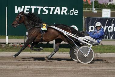 Willow Bay Evert peilt seinen sechsten Saisonerfolg an (Foto: Marius Schwarz)