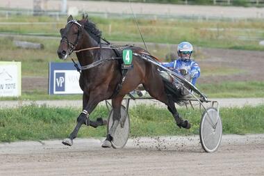 Rolfi bei seinem Karlshorster Sieg am 3. September (Foto: Marius Schwarz)